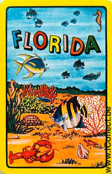 Single Swap Playing Cards Fish Tropical Florida (PS12-59H)