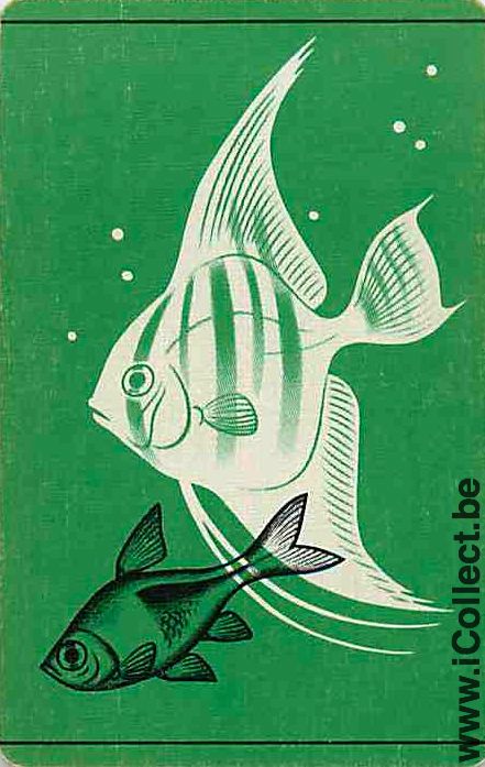 Single Playing Cards Fish Tropical (PS12-60A)