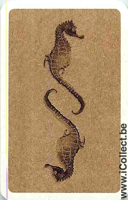 Single Swap Playing Cards Fish Sea Horse (PS03-56H) - Click Image to Close