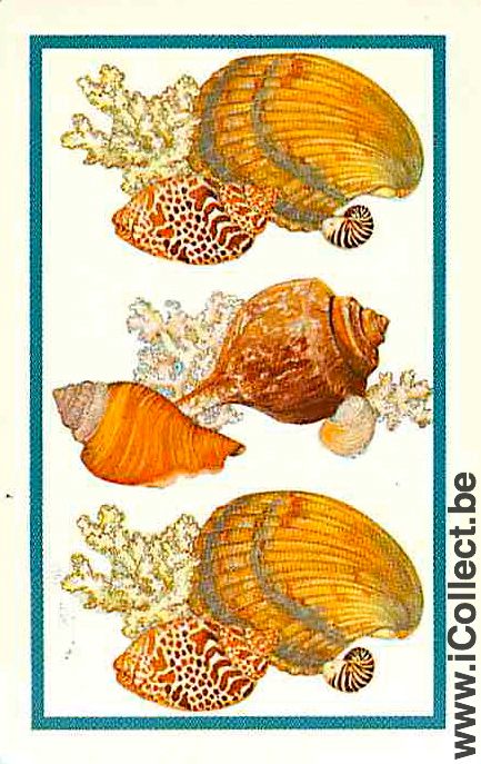 Single Swap Playing Cards Fish Seashell (PS02-51C)