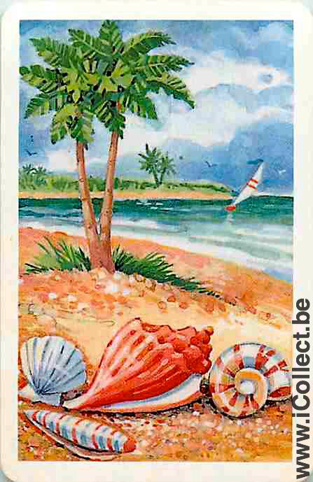 Single Playing Cards Fish Seashell (PS02-51F)