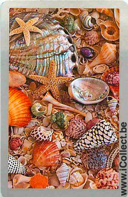 Single Swap Playing Cards Fish Seashell (PS02-51H)