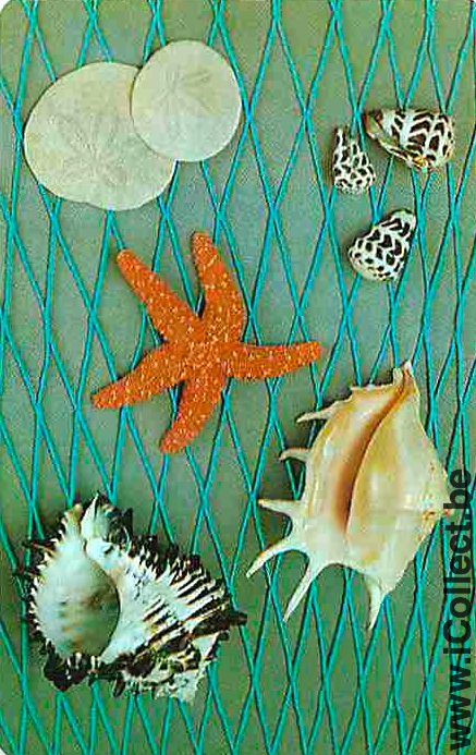 Single Playing Cards Fish Seashell (PS02-51I) - Click Image to Close