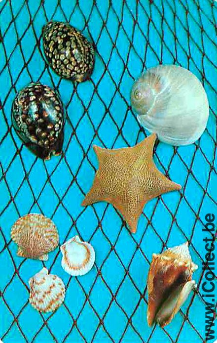 Single Playing Cards Fish Seashell (PS02-52A) - Click Image to Close