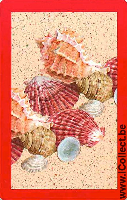 Single Playing Cards Fish Seashell (PS02-52I) - Click Image to Close