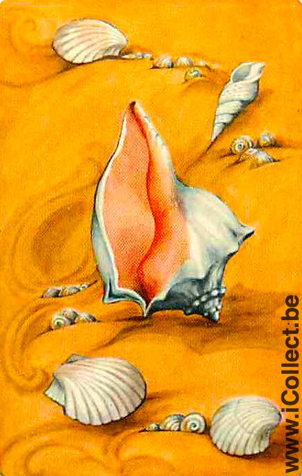 Single Playing Cards Fish Seashell (PS02-53F)