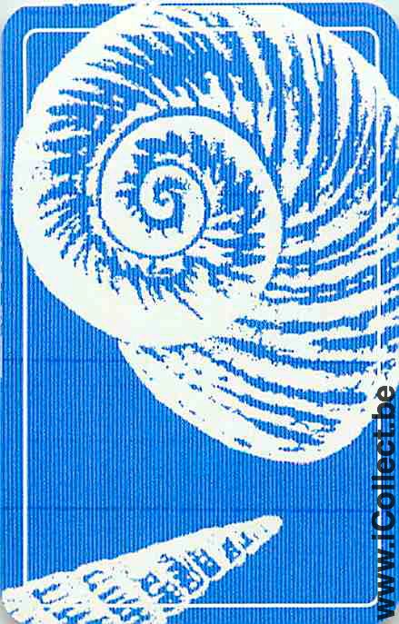 Single Swap Playing Cards Fish Seashell (PS04-36D) - Click Image to Close