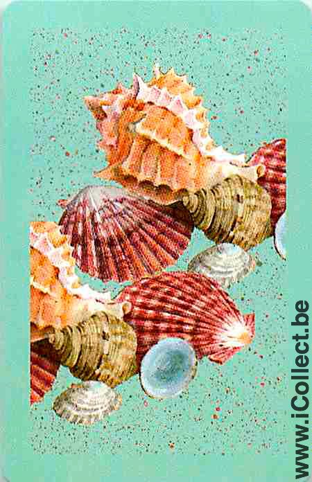 Single Playing Cards Fish Seashell (PS02-54D)