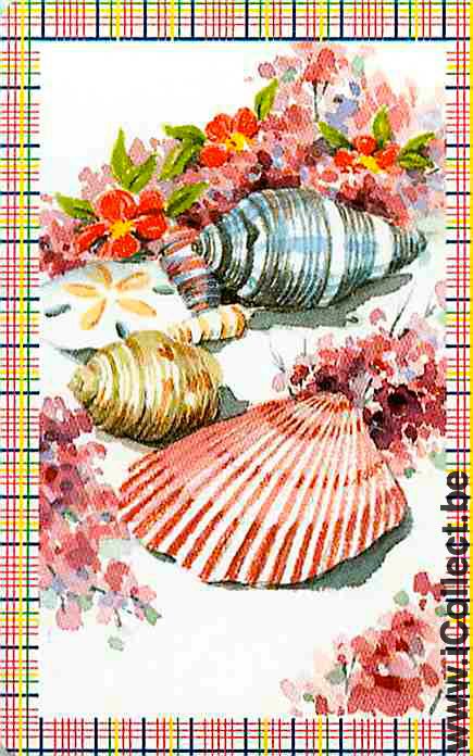 Single Playing Cards Fish Seashell (PS02-54G)