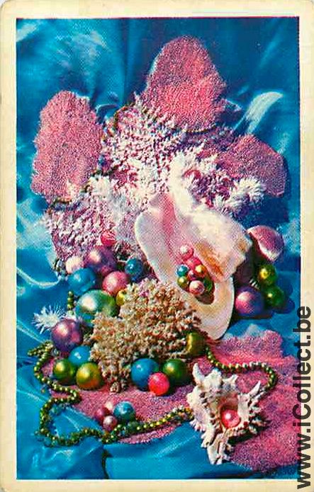 Single Playing Cards Fish SeaShell (PS12-60D)