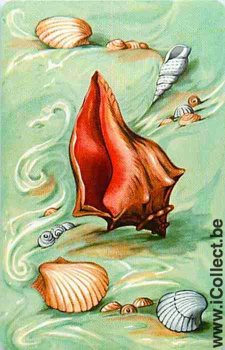 Single Playing Cards Fish SeaShell (PS12-60E)
