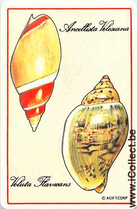 Single Playing Cards Fish Seashell (PS05-37F) - Click Image to Close