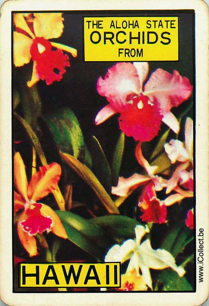 Single Swap Playing Cards Flower Orchids Hawaii (PS24-02C)