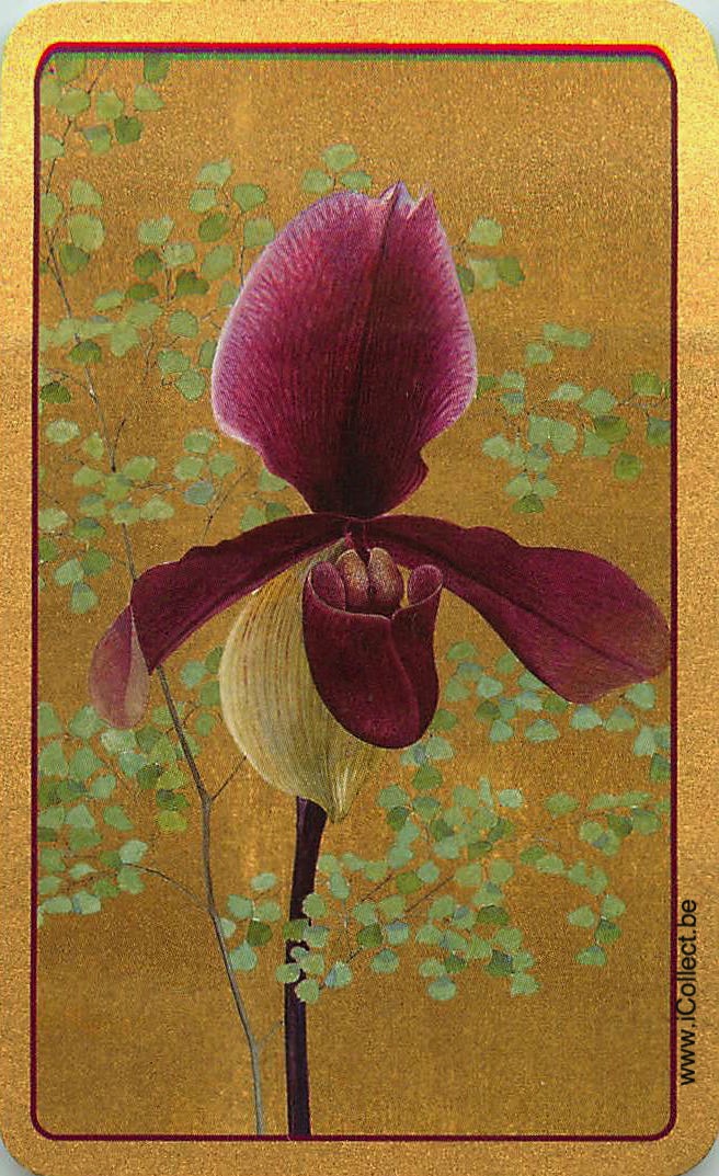 Single Swap Playing Cards Flower Orchid (PS24-04B) - Click Image to Close