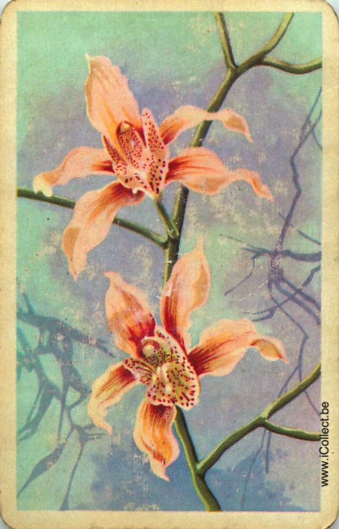 Single Swap Playing Cards Flower Orchids (PS24-05A) - Click Image to Close