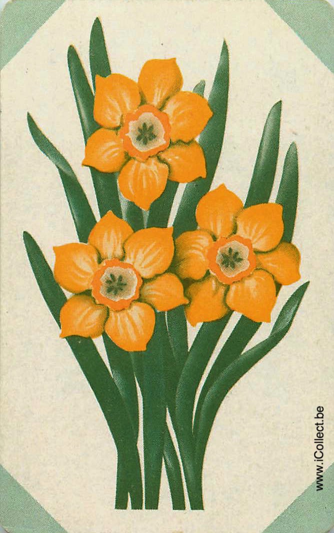 Single Swap Playing Cards Flower Daffodils (PS24-06C)