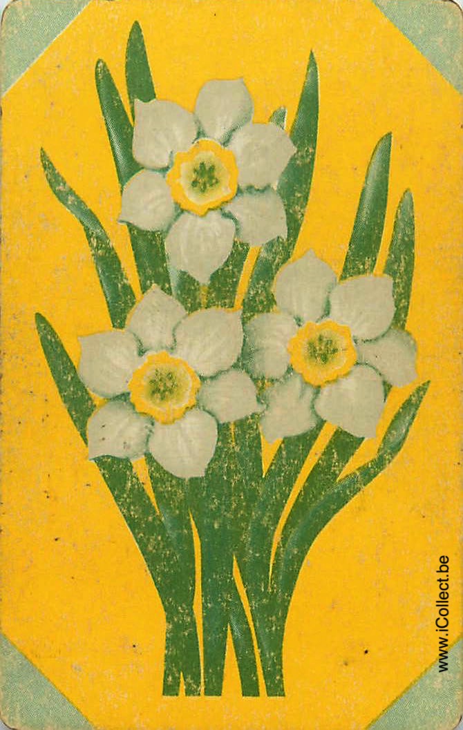 Single Swap Playing Cards Flower Daffodils (PS24-06D)