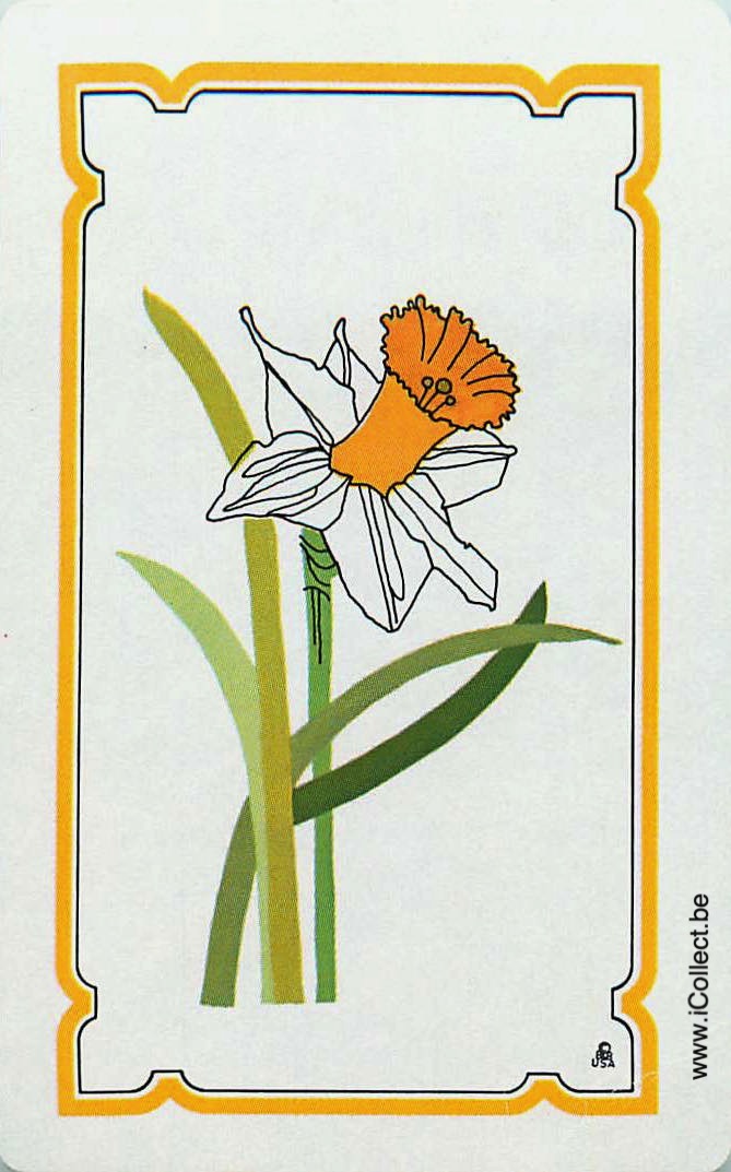 Single Swap Playing Cards Flower Daffodils (PS24-06H)
