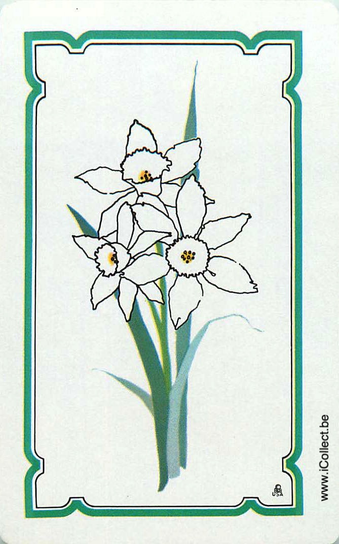 Single Swap Playing Cards Flower Daffodils (PS24-06I)