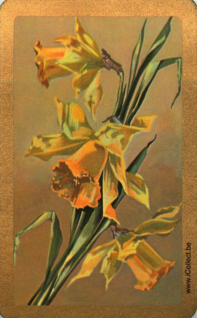 Single Swap Playing Cards Flower Daffodils (PS24-07E)