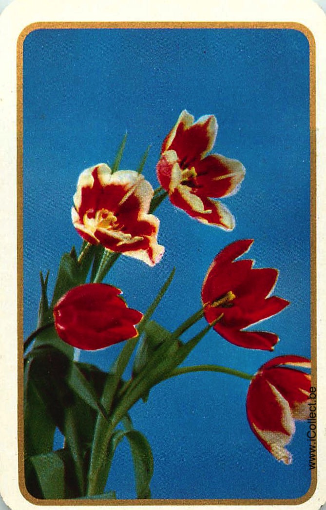 Single Swap Playing Cards Flower Tulips (PS24-11F)