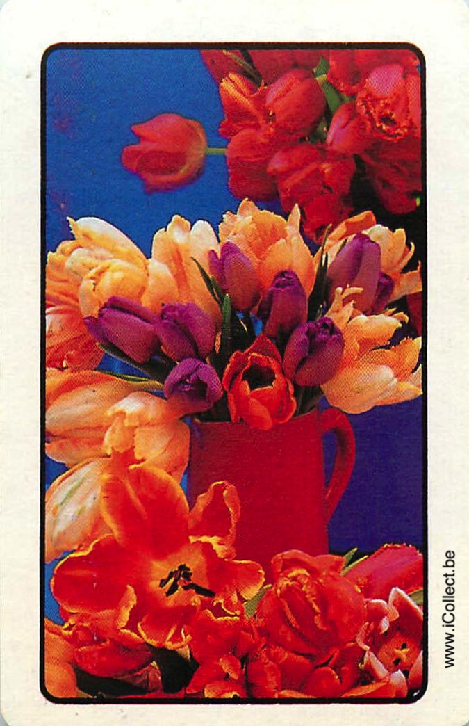 Single Swap Playing Cards Flower Tulips (PS24-13G)