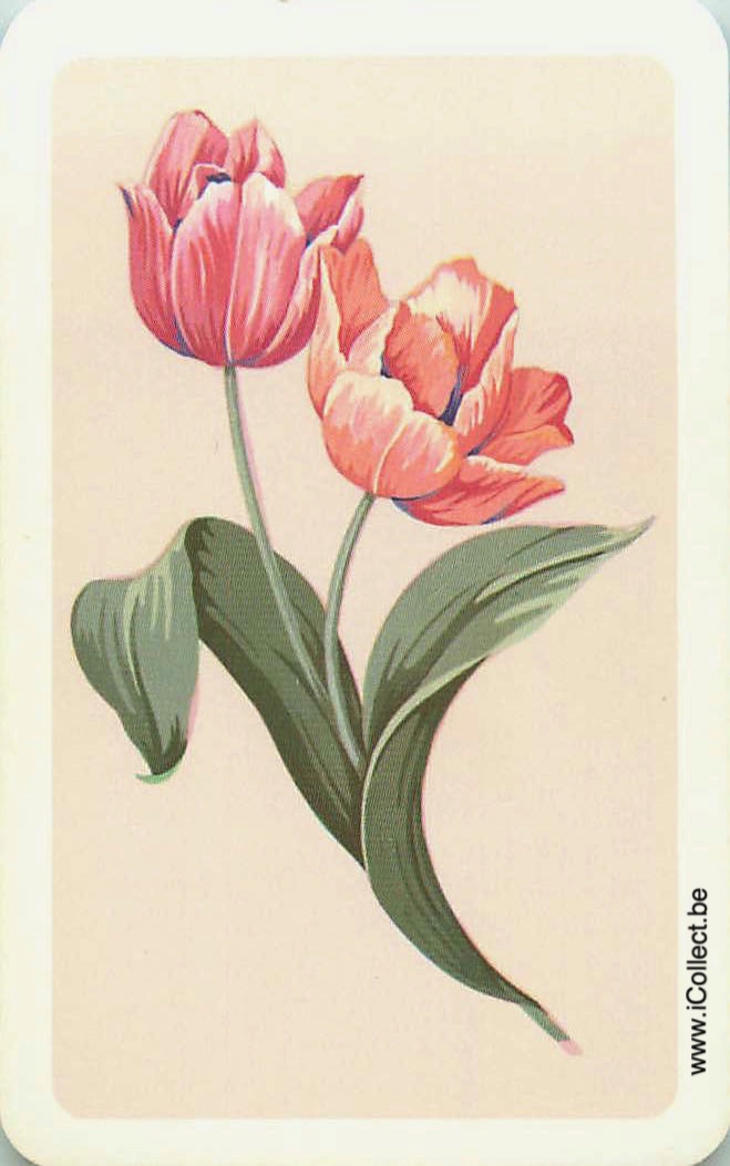 Single Swap Playing Cards Flower Tulips (PS24-14C)