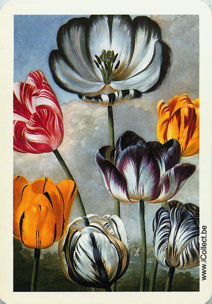 Single Swap Playing Cards Flower Tulips (PS24-16I) - Click Image to Close