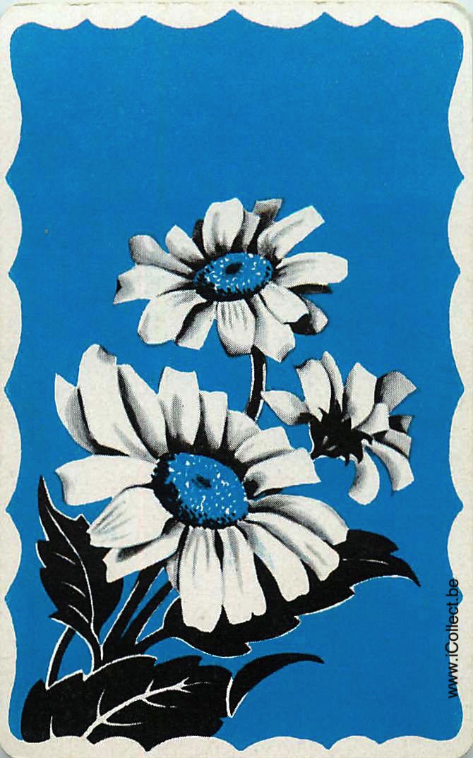 Single Swap Playing Cards Flower Marguerite (PS24-17C) - Click Image to Close