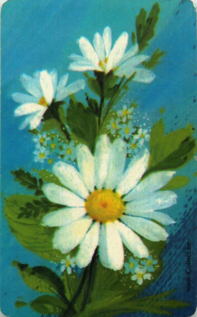 Single Swap Playing Cards Flower Marguerite (PS24-17I)