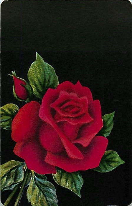 Single Swap Playing Cards Flower Rose (PS21-01I)