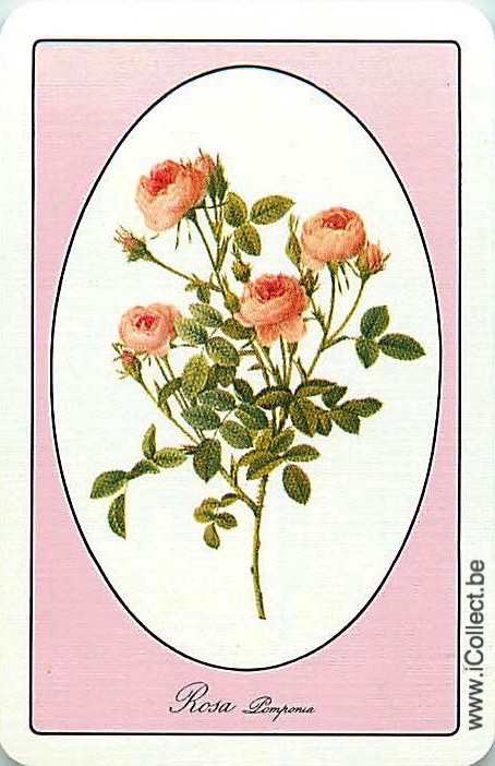 Single Swap Playing Cards Flower Rose (PS21-02A)