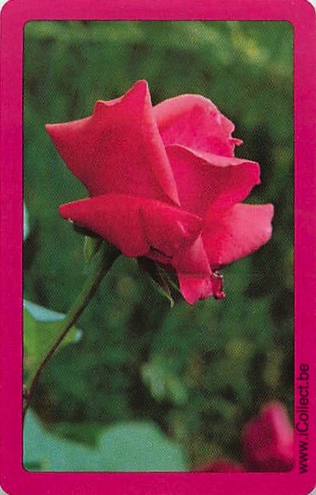 Single Swap Playing Cards Flower Rose (PS21-02E) - Click Image to Close