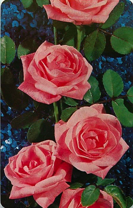 Single Swap Playing Cards Flower Rose (PS21-02G)