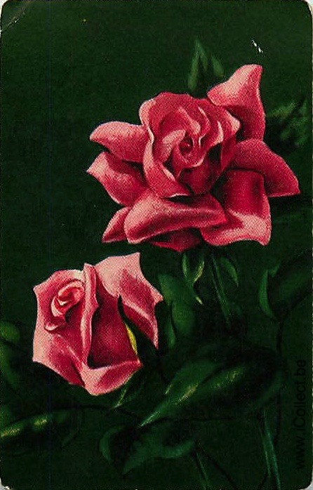 Single Swap Playing Cards Flower Rose (PS21-03A)