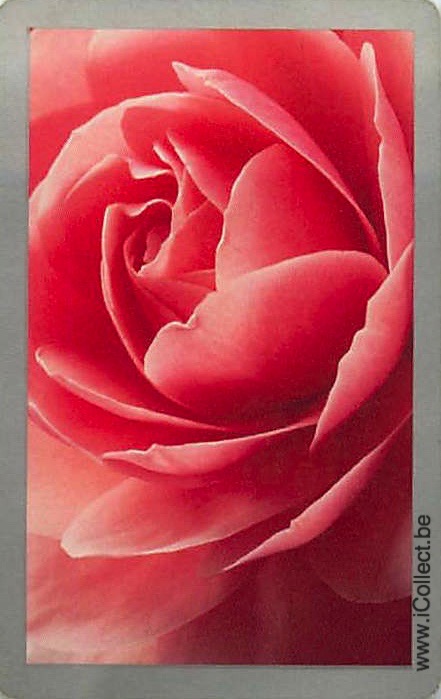 Single Swap Playing Cards Flower Rose (PS21-03D) - Click Image to Close