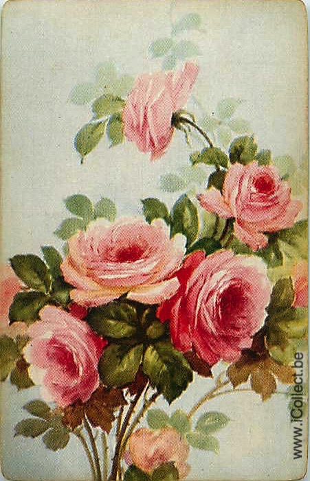 Single Swap Playing Cards Flower Rose (PS21-04A)