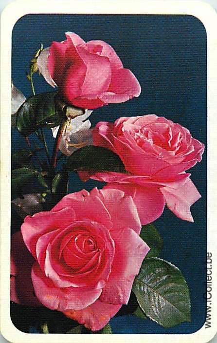 Single Swap Playing Cards Flower Rose (PS21-04D) - Click Image to Close