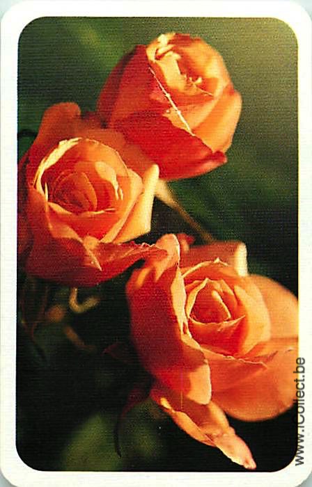 Single Swap Playing Cards Flower Rose (PS21-07A)