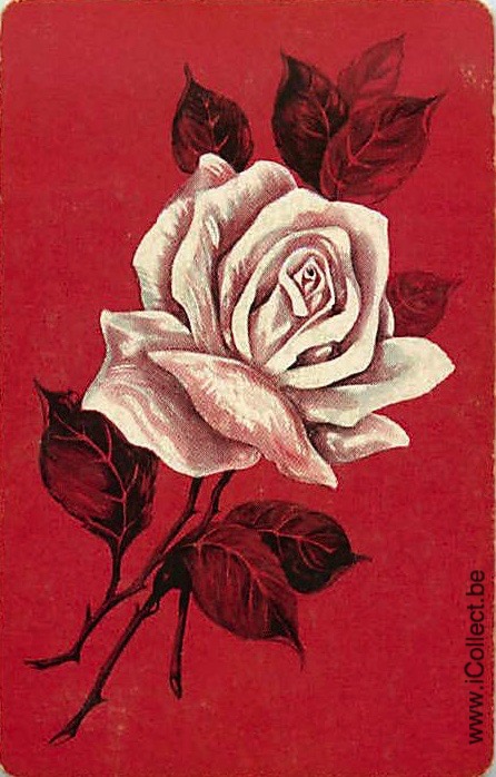 Single Swap Playing Cards Flower Rose (PS21-07B) - Click Image to Close