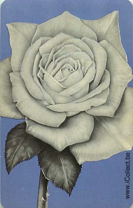 Single Swap Playing Cards Flower Rose (PS21-07C) - Click Image to Close