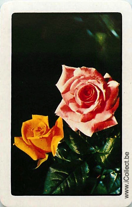 Single Swap Playing Cards Flower Rose (PS21-07H)