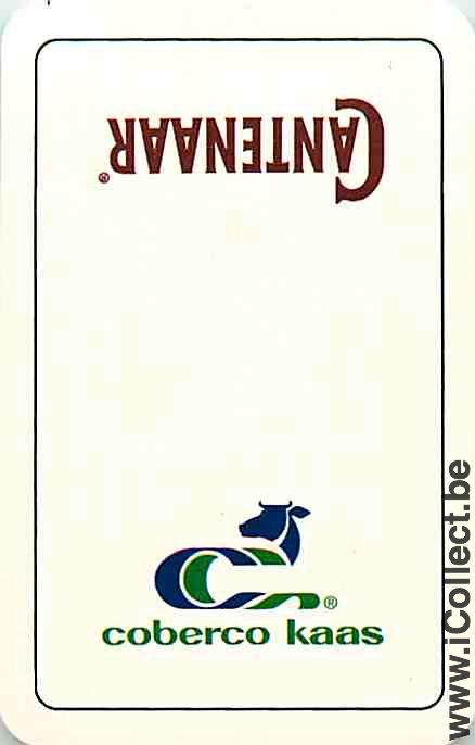 Single Playing Cards Cheese Coberco Kaas (PS08-47D)