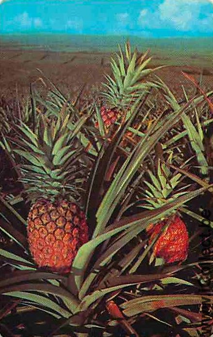 Single Playing Cards Food Fruit Pineapple (PS12-12F)