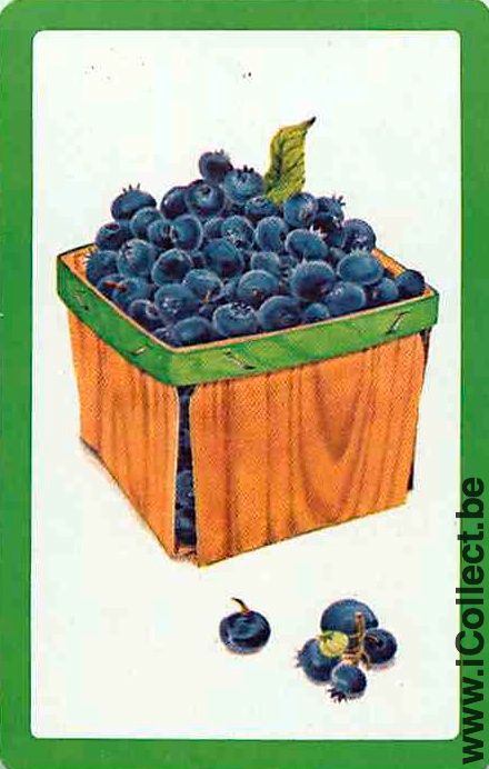 Single Swap Playing Cards Food Fruit (PS12-14A) - Click Image to Close