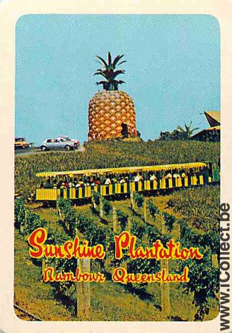Single Playing Cards Food Fruit Pineapple (PS12-14D)