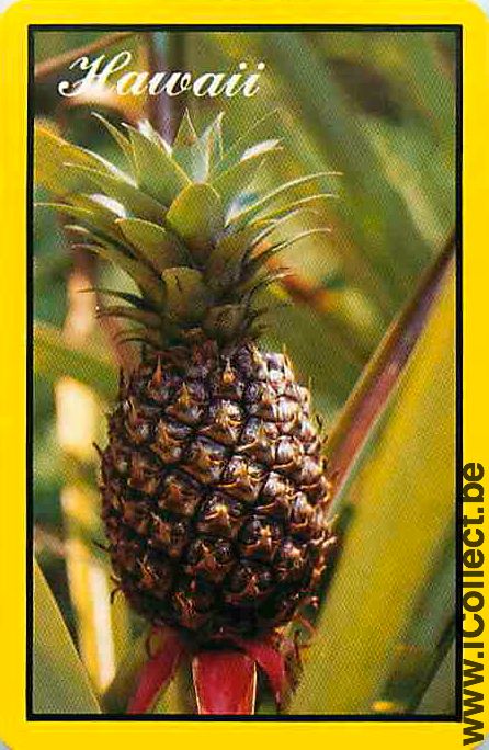 Single Playing Cards Food Pineapple Hawaii (PS13-57B) - Click Image to Close