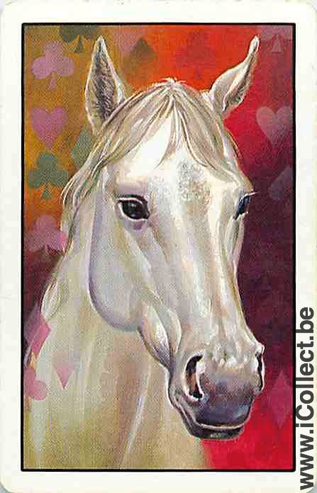 Single Swap Playing Cards Horse Head to Right (PS05-18I)