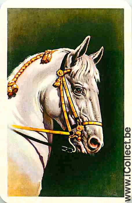 Single Swap Playing Cards White Horse Head (PS05-25C)