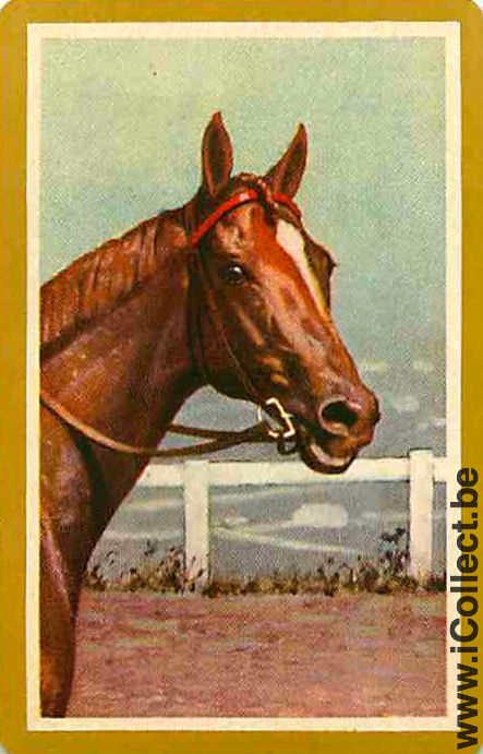 Single Playing Cards Horse Head to Right (PS04-57A)